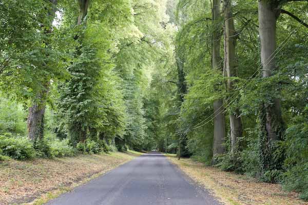 Foresta dell'Abbazia di Fontaine-Guérard