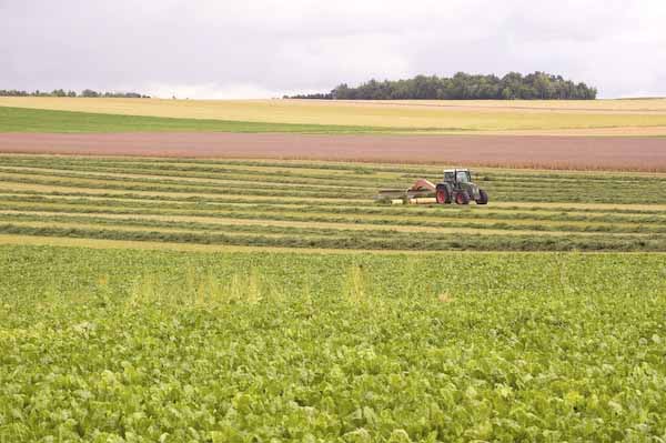 Paesaggio rurale in Champagne-Ardenne