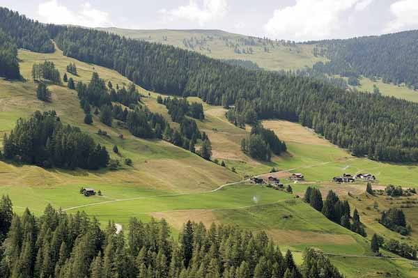 Gran San Bernardo