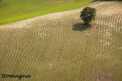 Romagna