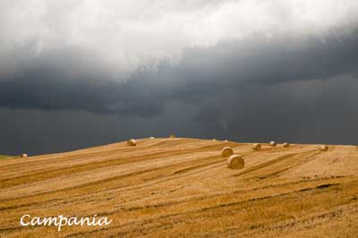 Campania