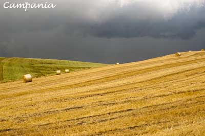 Campania