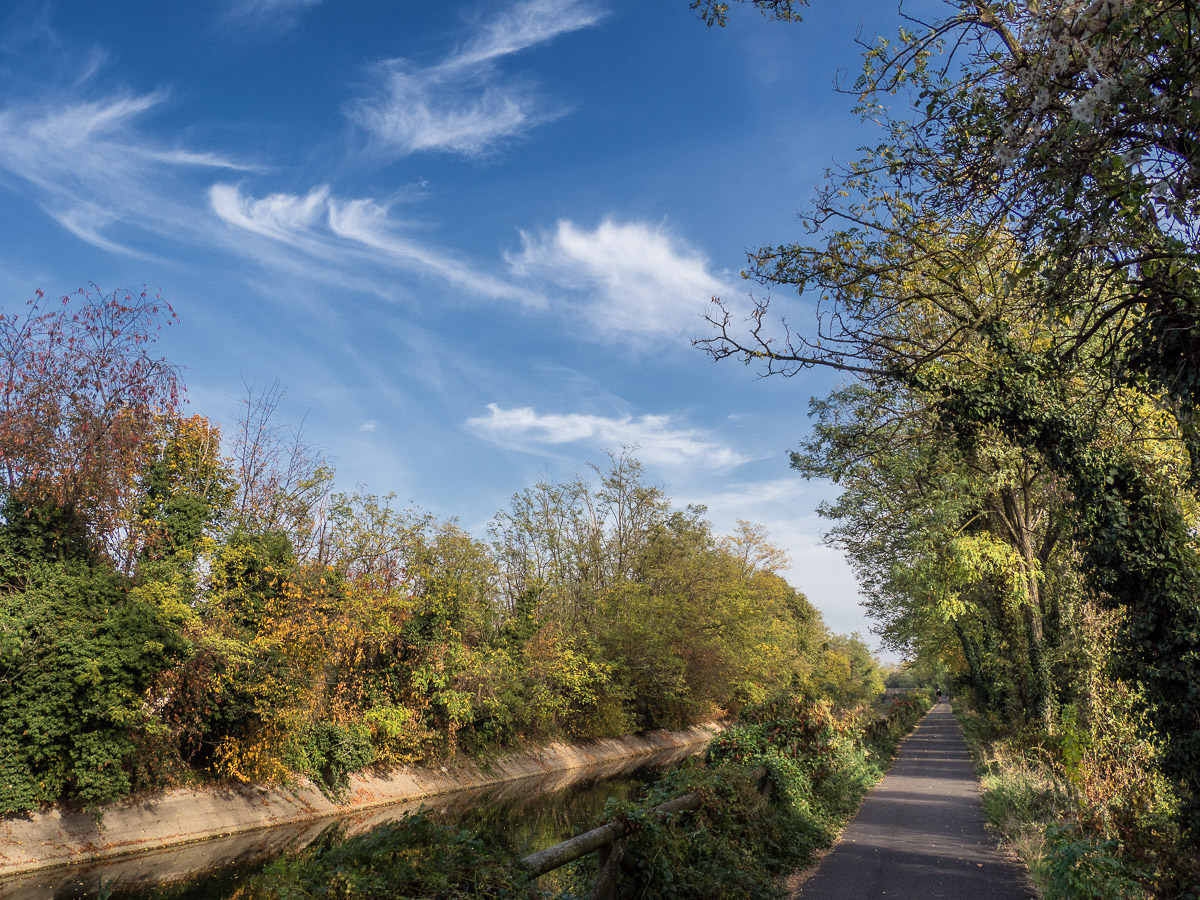 Bike path at Busto Garolfo along the canal Villoresi